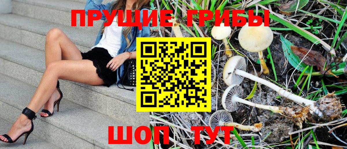 Симферополь  Псилоцибиновые грибы Psilocybe  Вход с VPN 